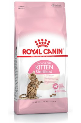 Kitten Sterilised